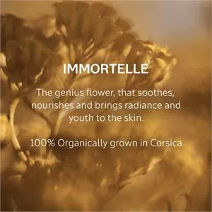 L'Occitane Immortelle Karité Youth Hand Cream 75ml